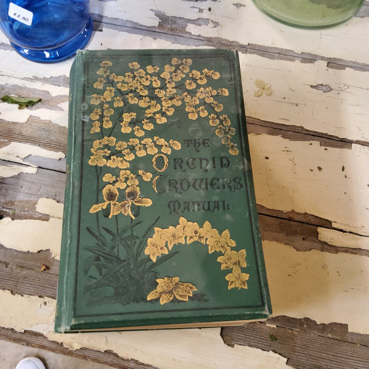 The Orchid Grower's Manual