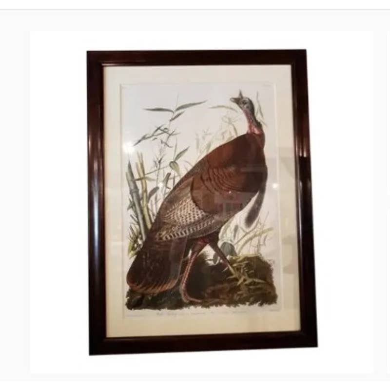 Audubon Havell Edition Pl. 1, Wild Turkey