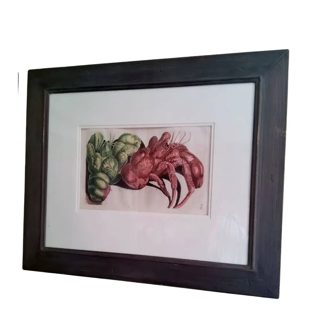 Antique Copper Engravings of a Lobster and Crab, Framed - Set of 2