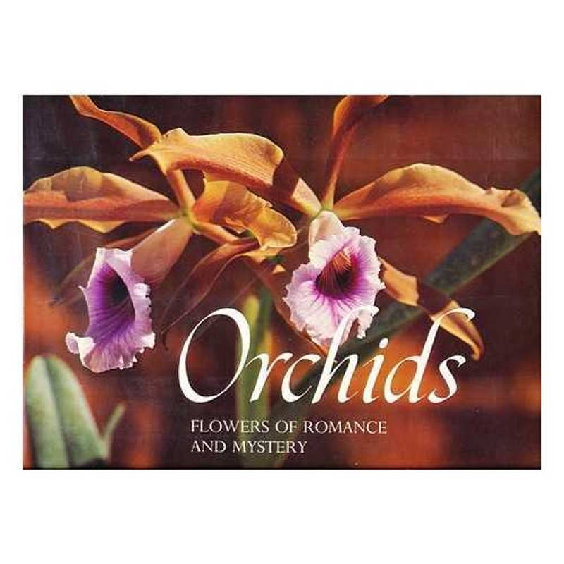 Orchids, flowers of romance and mystery