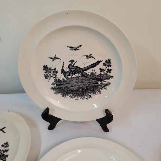 Set of 6 plates  Birds Etruria Dinner Plates by Wedgwood