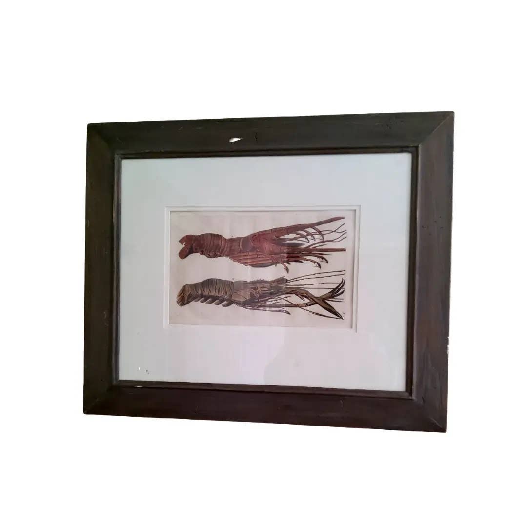 Antique Copper Engravings of a Lobster and Crab, Framed - Set of 2