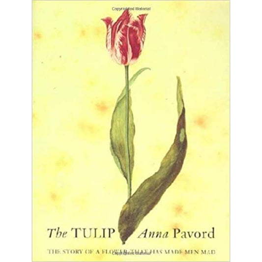 The Tulip: The Story of the Flower That Has Made Men Mad