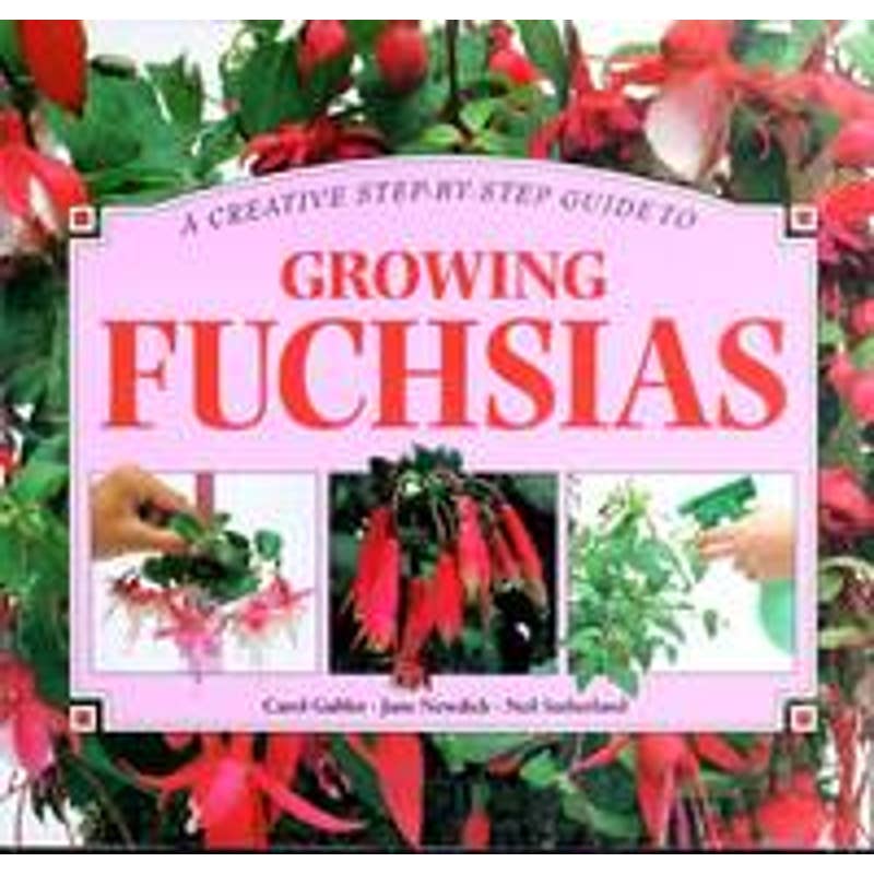 Creative Step-By-Step Guide to Growing Fuchsias